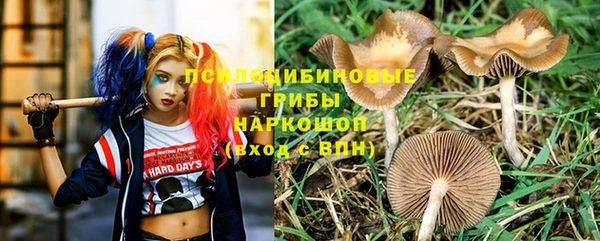 крисы Володарск