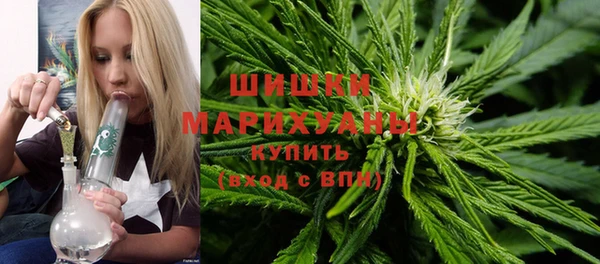 крисы Володарск